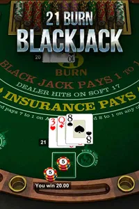Spinanga Casino 21 Burn Blackjack
