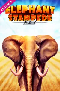 Spinanga Casino Elephant Stampede SE